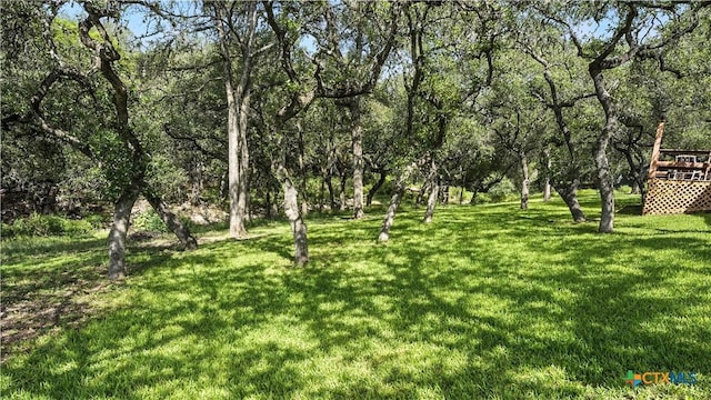 781 Mary Preiss Dr, New Braunfels, TX 78132 - photo 15