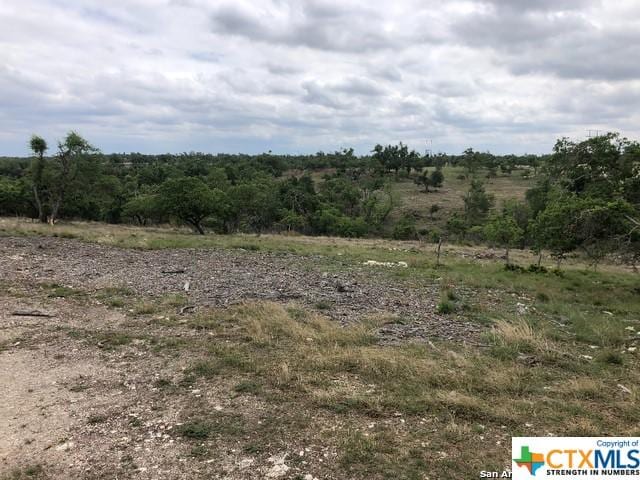 LOT8 Longview Dr, Fredericksburg, TX 78624 - photo 2