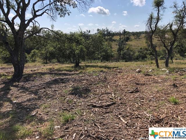 LOT8 Longview Dr, Fredericksburg, TX 78624 - photo 3