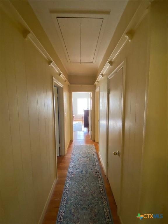 corridor with wooden walls and light hardwood / wood-style flooring