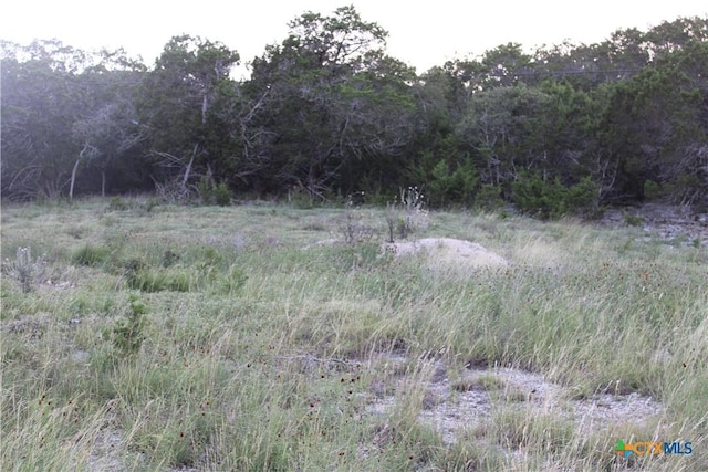 2041 Fuller Dr, Canyon Lake, TX 78133