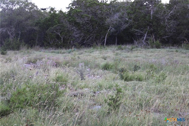 2041 Fuller Dr, Canyon Lake, TX 78133