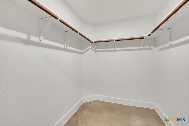 2402 Healy Dr, Temple, TX 76502 - view of walk in closet
