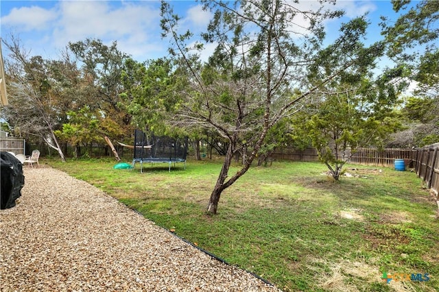 view of yard featuring a trampoline