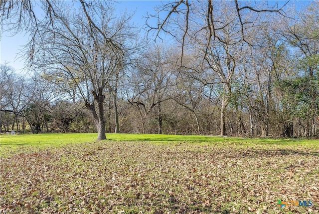 505 N Commerce St, Lockhart, TX 78644 - photo 2