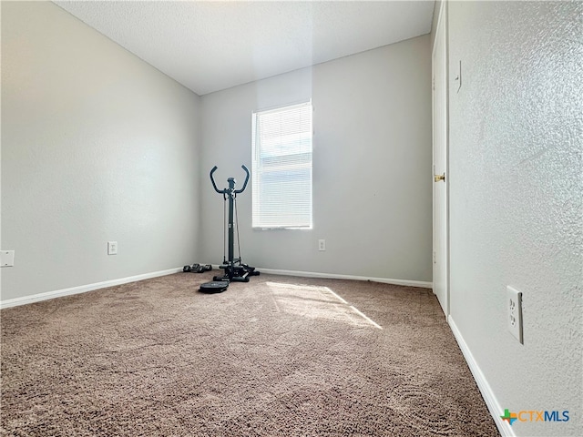 workout area with carpet flooring and a textured ceiling