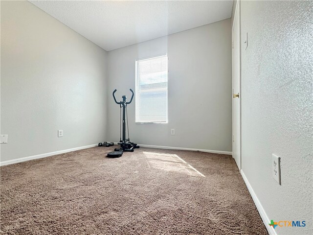 workout area with carpet flooring and a textured ceiling