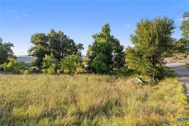 302 Lake Downs Dr, Marble Falls, TX 78654