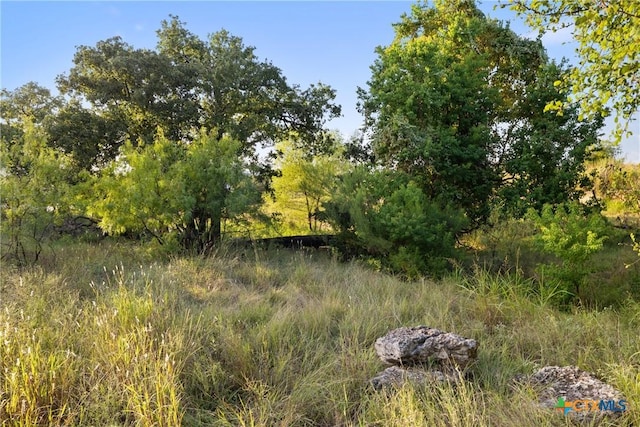 302 Lake Downs Dr, Marble Falls, TX 78654