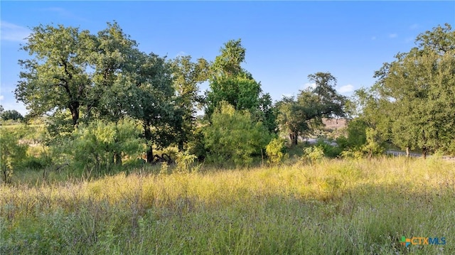 302 Lake Downs Dr, Marble Falls, TX 78654
