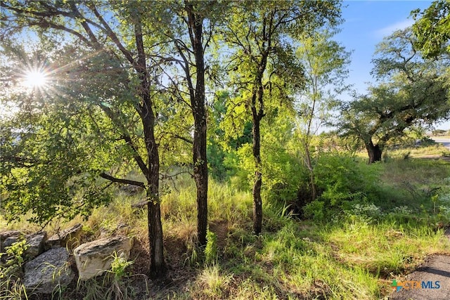 302 Lake Downs Dr, Marble Falls, TX 78654