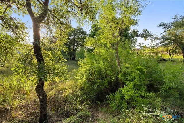302 Lake Downs Dr, Marble Falls, TX 78654