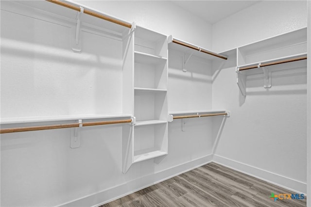 spacious closet featuring wood-type flooring