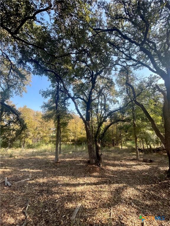 2042 Th Jones Mill Way, Salado, TX 76571 - photo 11
