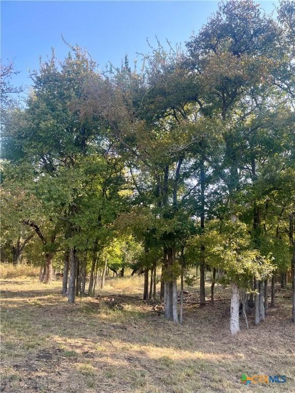 2042 Th Jones Mill Way, Salado, TX 76571 - photo 7