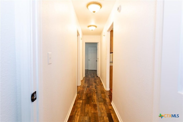 212 Oak Ridge Dr, Nolanville, TX 76559 - corridor with dark wood finished floors and baseboards