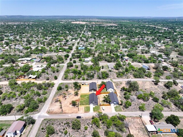 307 Cedarhill Dr, Granite Shoals, TX 78654 - bird's eye view
