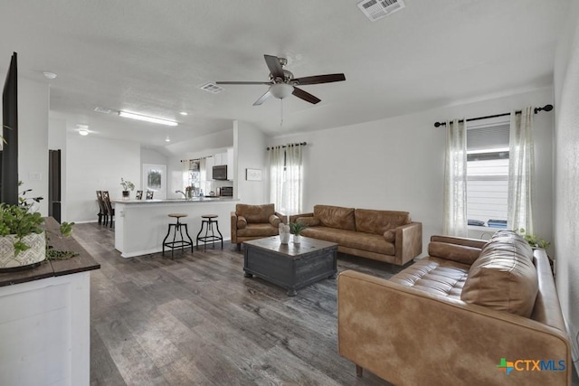 2328 Arctic Warbler, New Braunfels, TX 78130 - living area with a ceiling fan, dark wood-type flooring, lofted ceiling, and baseboards