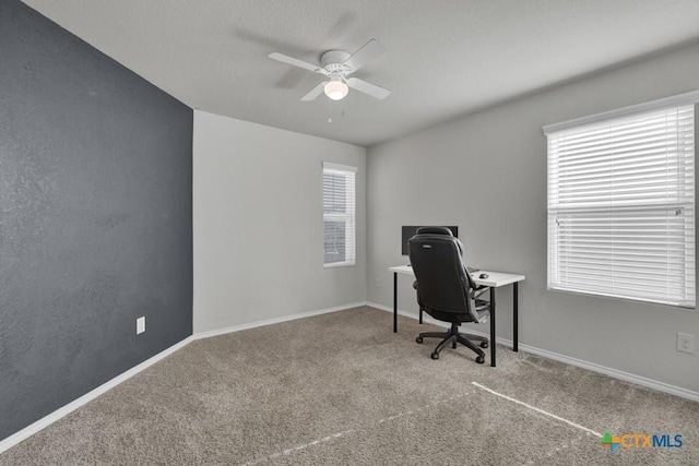 2328 Arctic Warbler, New Braunfels, TX 78130 - office space with ceiling fan, carpet flooring, and baseboards