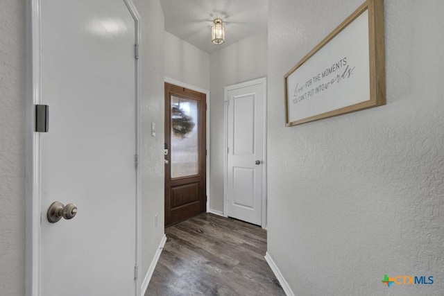 2328 Arctic Warbler, New Braunfels, TX 78130 - foyer featuring wood finished floors, baseboards, and a textured wall