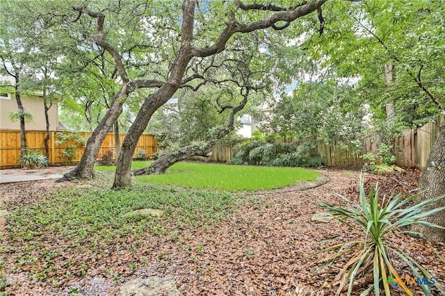13223 Darwin Ln, Austin, TX 78729 - photo 21