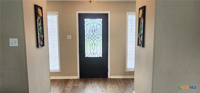 entryway with a wealth of natural light and dark hardwood / wood-style flooring