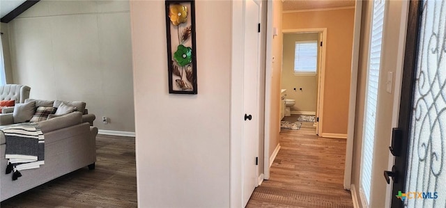 hall featuring wood-type flooring and ornamental molding