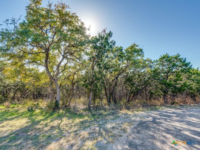 223 Lakeview Cir, Spring Branch TX, 78070 land for sale