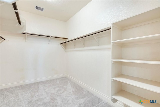 2933 Countryside Path, Seguin, TX 78155 - walk in closet featuring carpet flooring