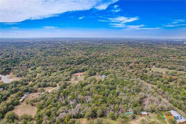 1495 Makinson Rd, La Grange, TX 78963 - drone / aerial view of a forest