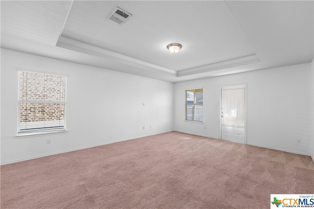 empty room featuring plenty of natural light, carpet flooring, and a tray ceiling