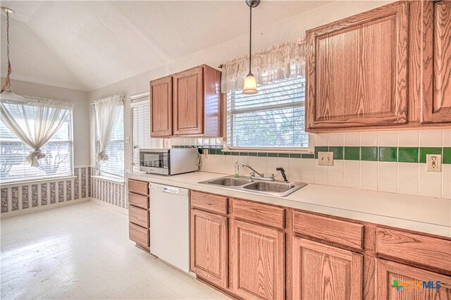 614 Sabine Cir, Temple, TX 76504 - kitchen with dishwasher, a sink, stainless steel microwave, healthy amount of natural light, and vaulted ceiling