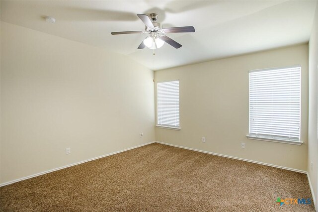 3312 Parkmill Dr, Killeen, TX 76542 - photo 22