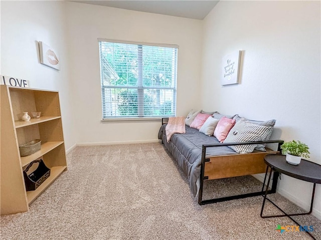 living room featuring baseboards and carpet floors