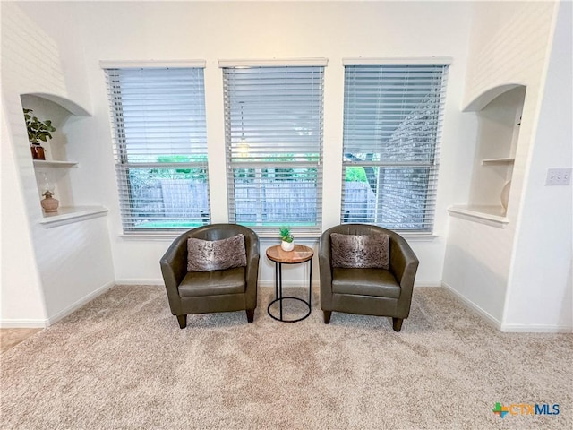 sitting room with baseboards and carpet