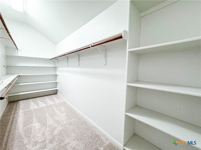 715 S Frontier Ln, Cedar Park, TX 78613 - spacious closet featuring carpet flooring and vaulted ceiling