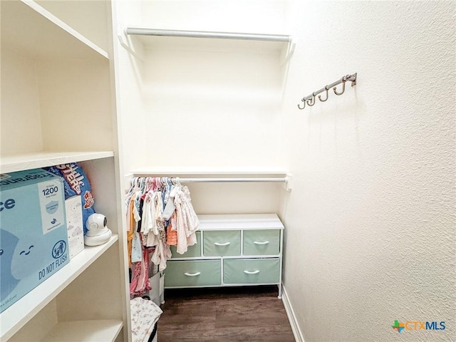 spacious closet with dark hardwood / wood-style floors