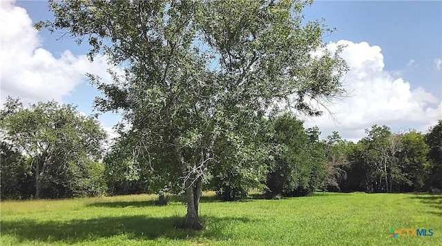 000 N Ben Wilson St, Victoria, TX 77901