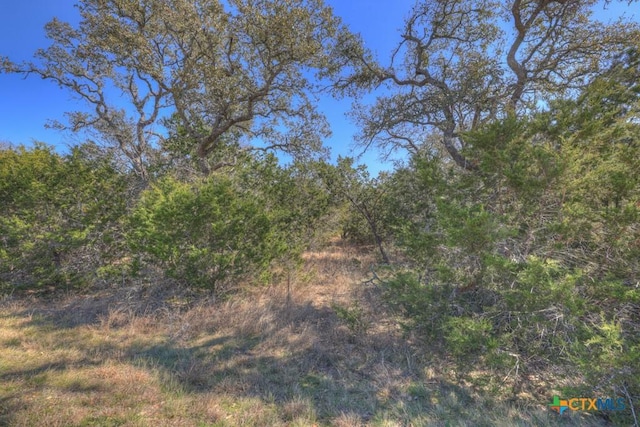 578 Falconwood Dr, San Marcos TX, 78666 land for sale