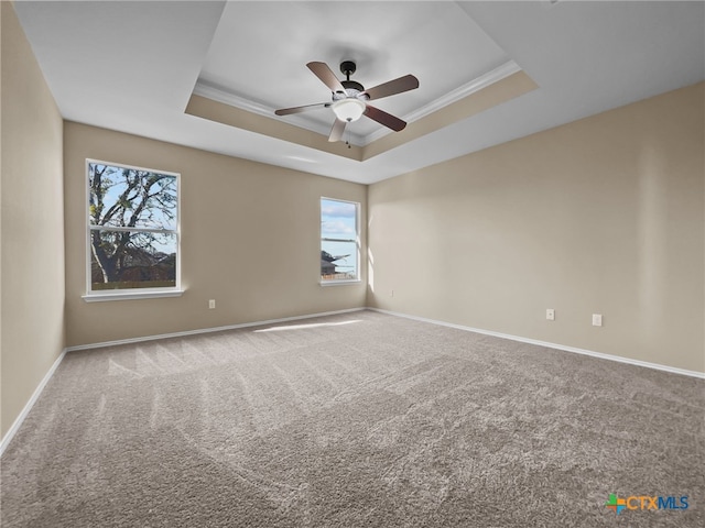 unfurnished room featuring ornamental molding, a raised ceiling, and carpet