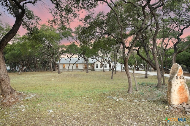 view of yard at dusk