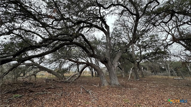 Listing photo 3 for LOT21 Camino Del Rancho, Concan TX 78838