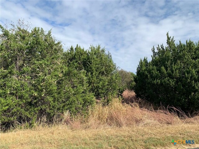 TBD(ID319590) Cheyenne Pass, Salado, TX 76571