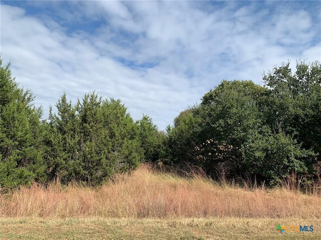 TBD(ID319590) Cheyenne Pass, Salado, TX 76571
