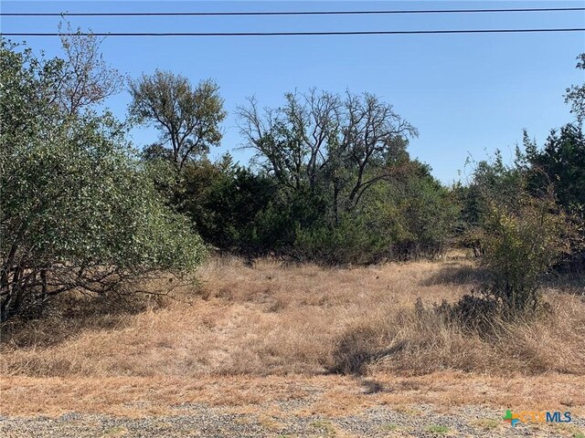 TBD(ID319590) Cheyenne Pass, Salado, TX 76571