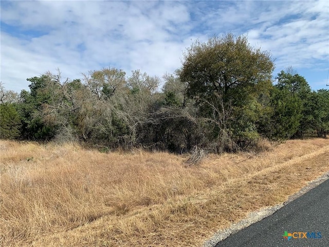 TBD(ID319590) Cheyenne Pass, Salado, TX 76571