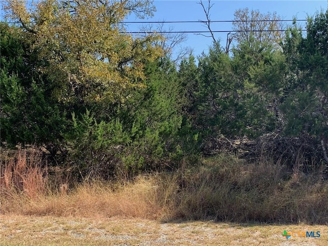 TBD(ID319590) Cheyenne Pass, Salado, TX 76571