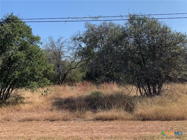 TBD(ID319590) Cheyenne Pass, Salado, TX 76571