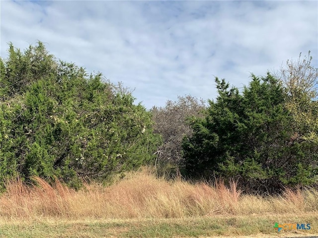 TBD(ID319590) Cheyenne Pass, Salado, TX 76571