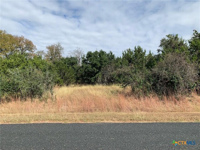 TBD(ID319590) Cheyenne Pass, Salado, TX 76571